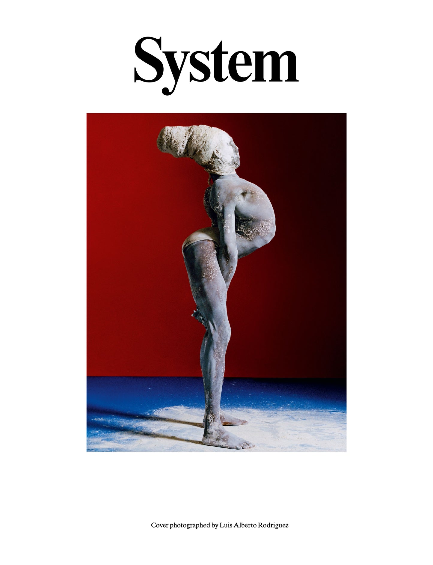 System Issue No. 24
