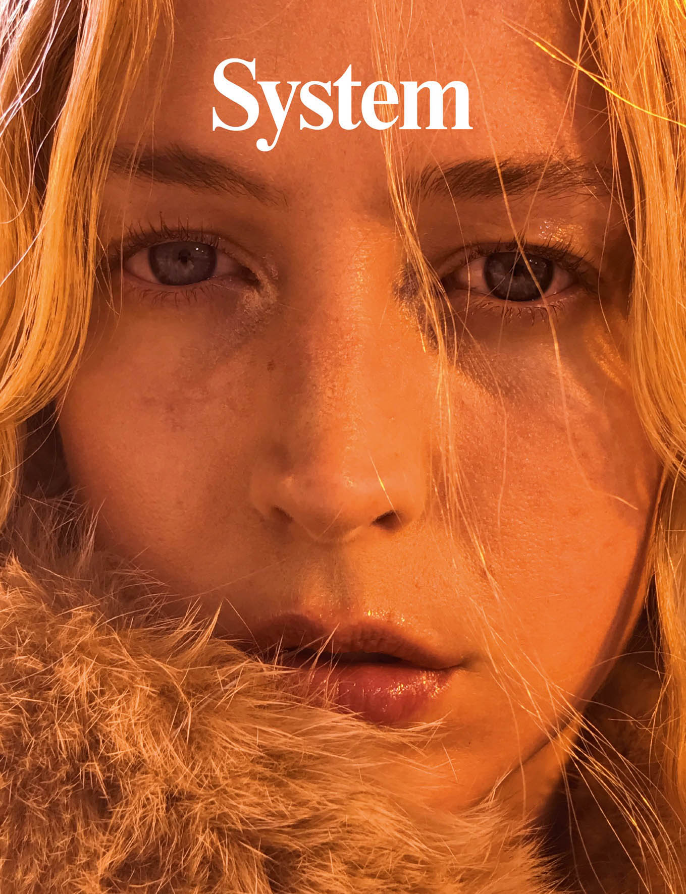 System Issue 9