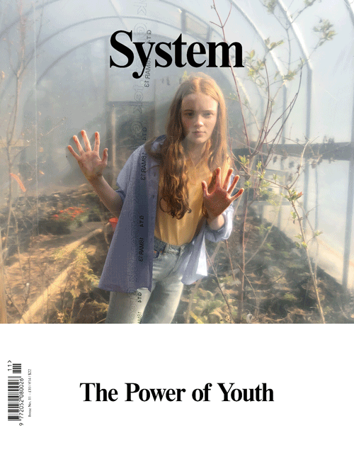 System Issue 11