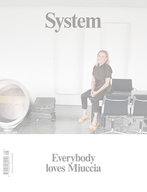 System Issue 8